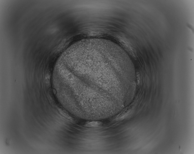 X0000091720269200709211006