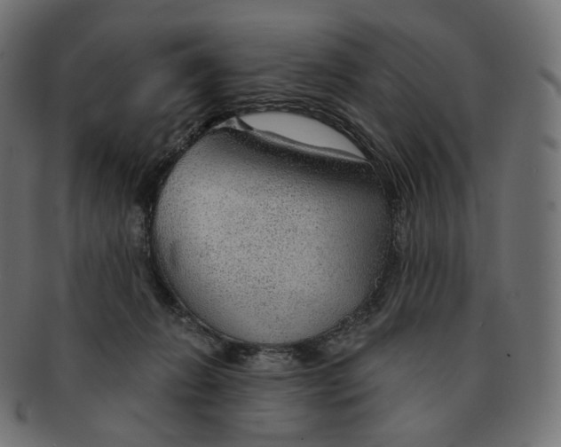 X0000091720270200709211007