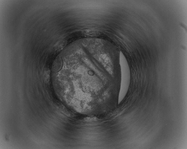 X0000091720271200709211007