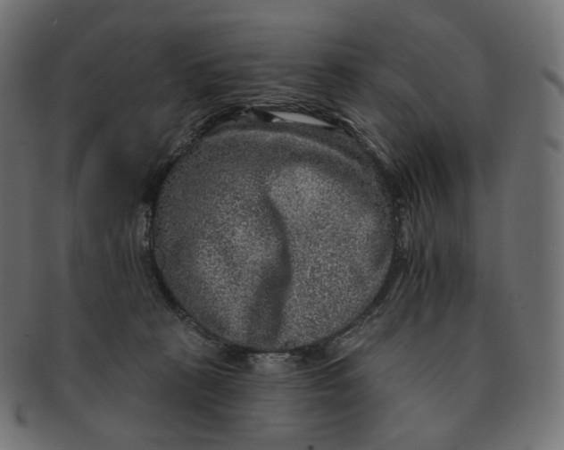 X0000091720273200709211007