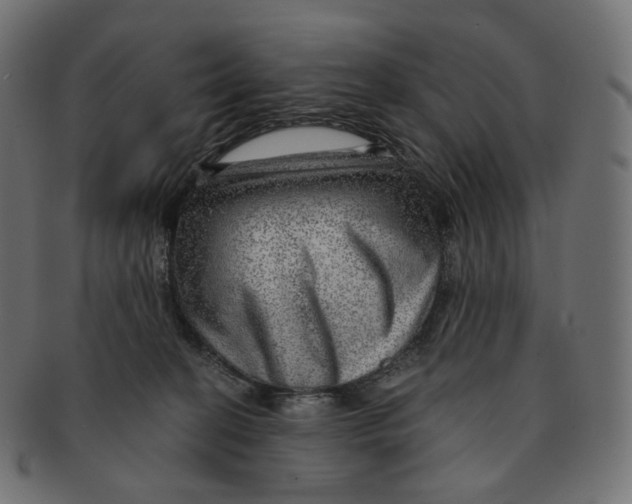 X0000091720274200709211007