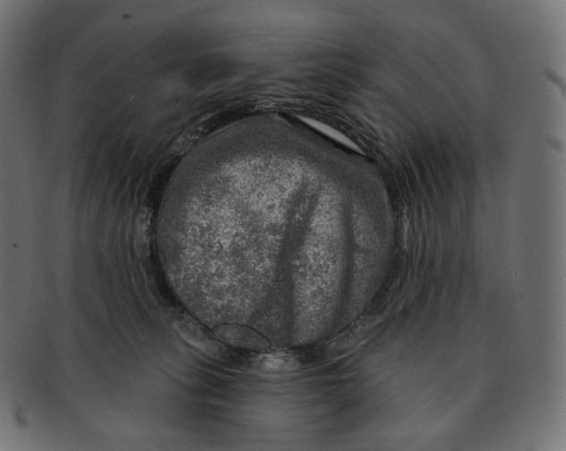 X0000091720275200709211007