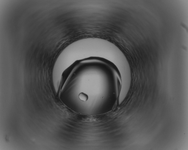 X0000091720276200709211007