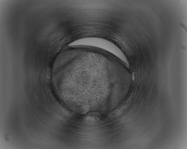 X0000091720277200709211007