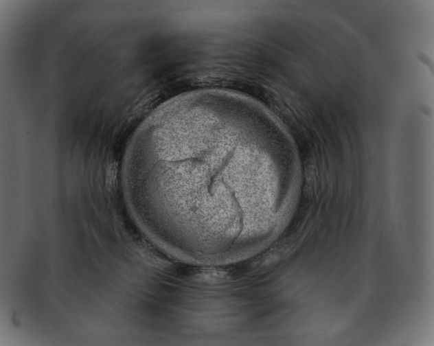 X0000091720278200709211007