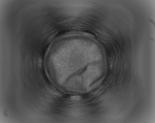 X0000091720279200709211007