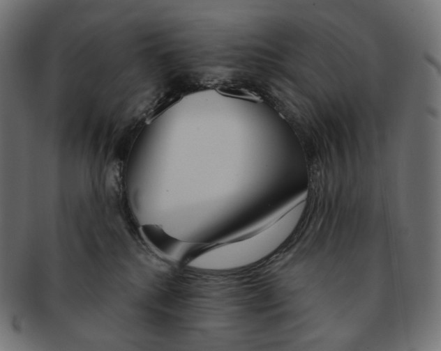 X0000091720280200709211007