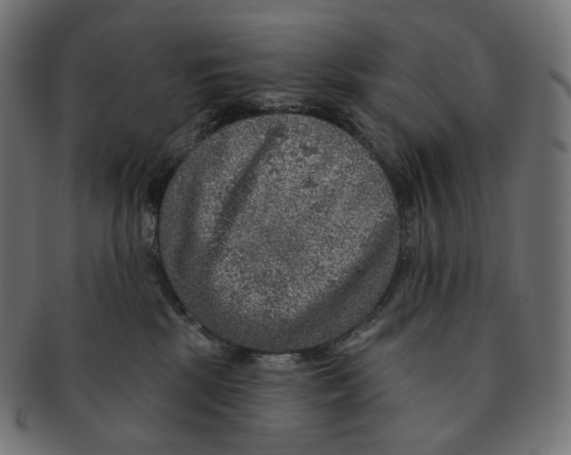 X0000091720281200709211007