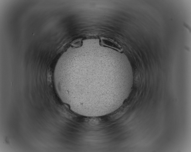 X0000091720282200709211007