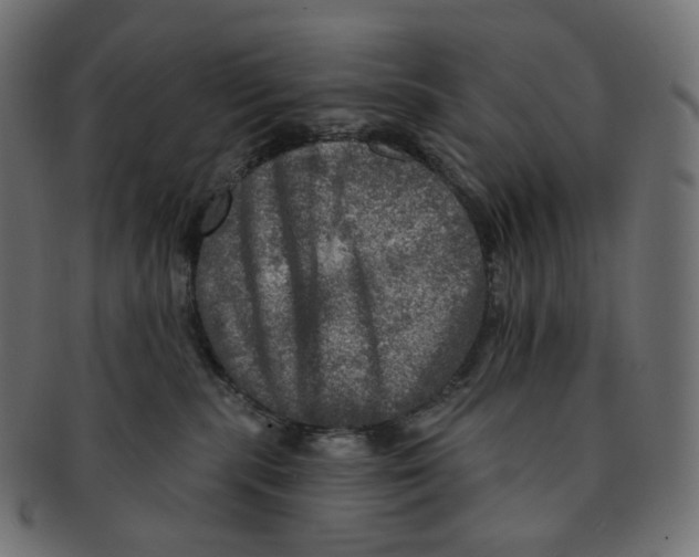 X0000091720283200709211007