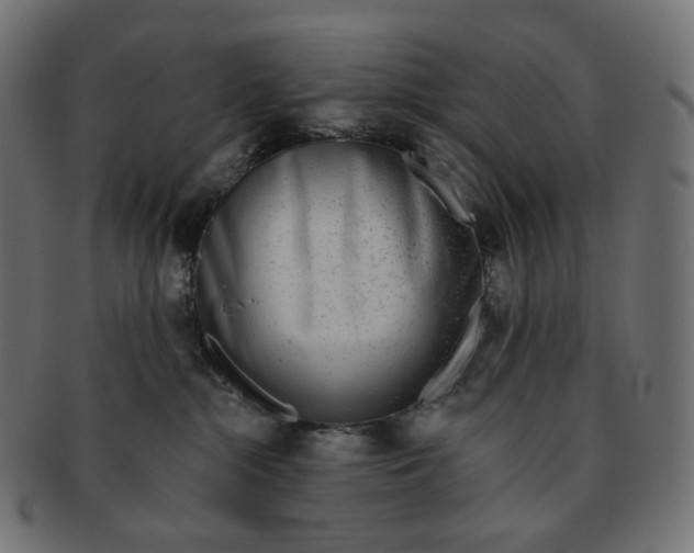 X0000091720284200709211007