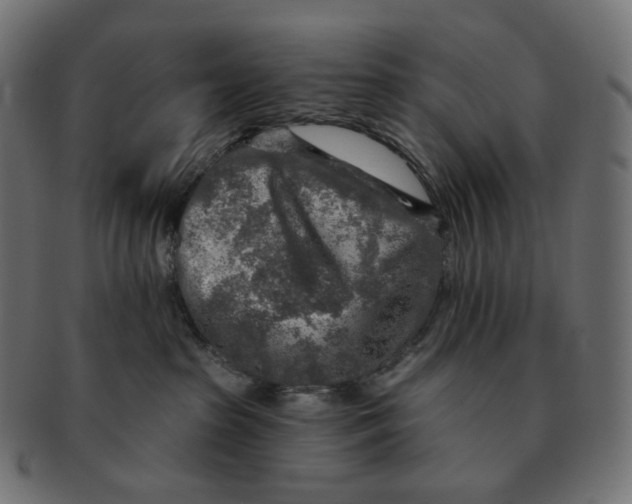 X0000091720285200709211007