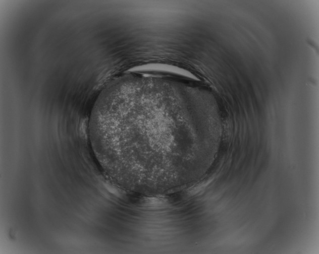 X0000091720286200709211007