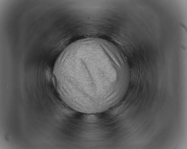 X0000091720287200709211007