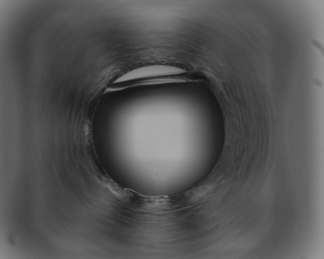 X0000091720288200709211007