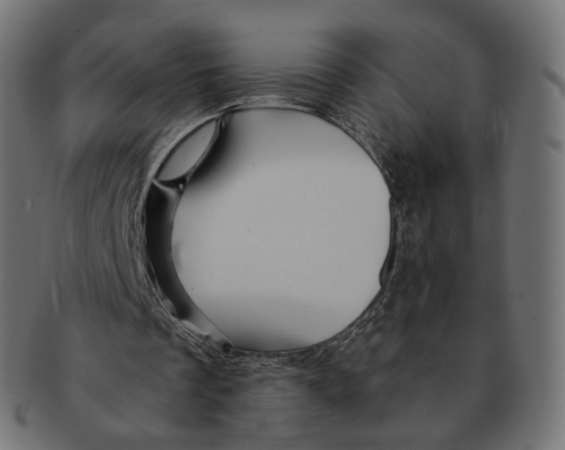 X0000091720289200709211006