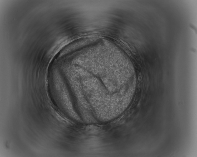 X0000091720290200709211006