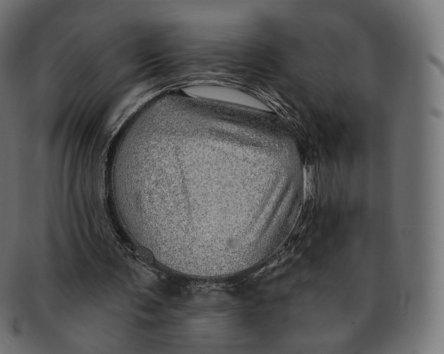 X0000091720291200709211006