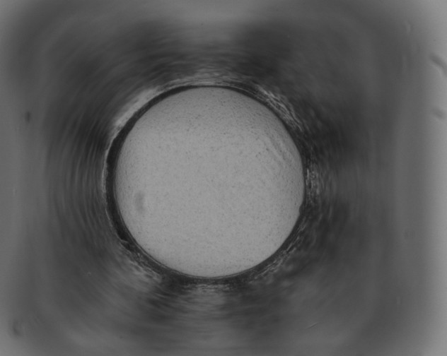 X0000091720292200709211006