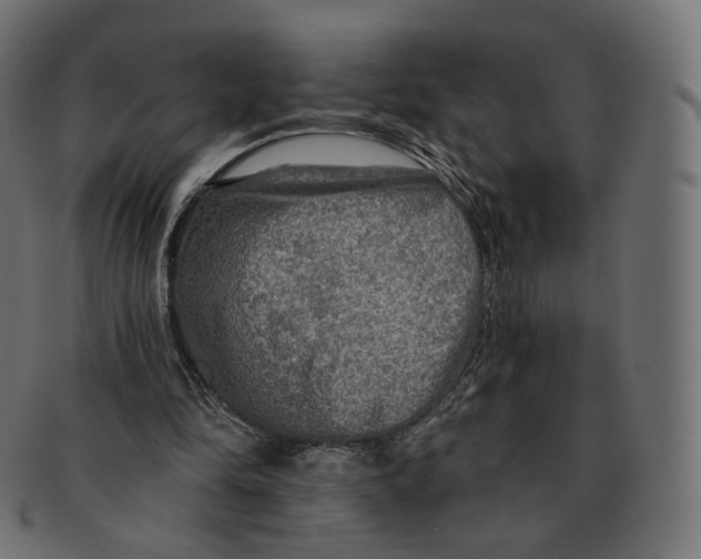 X0000091720294200709211006