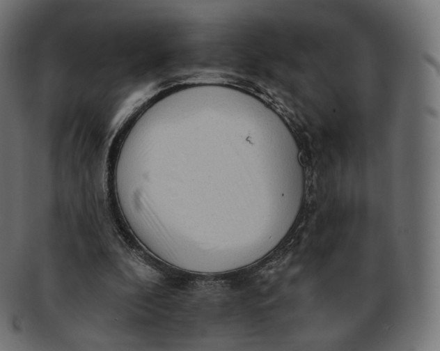 X0000091720296200709211006