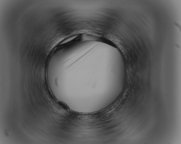 X0000091720297200709211006