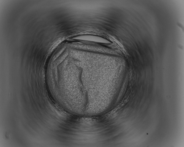 X0000091720298200709211006