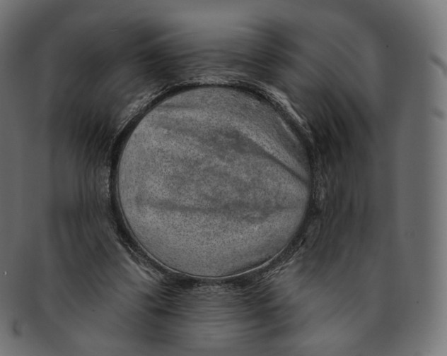 X0000091720299200709211006