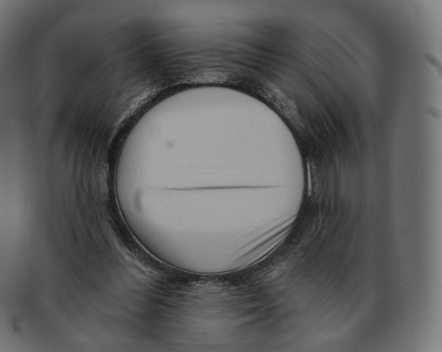 X0000091720300200709211006