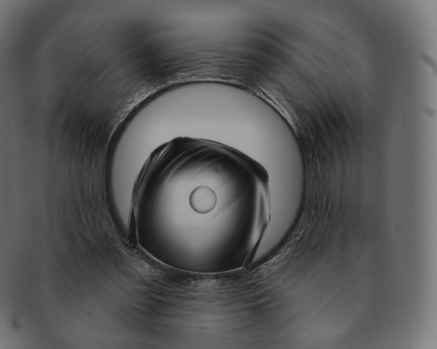 X0000091720301200709211006