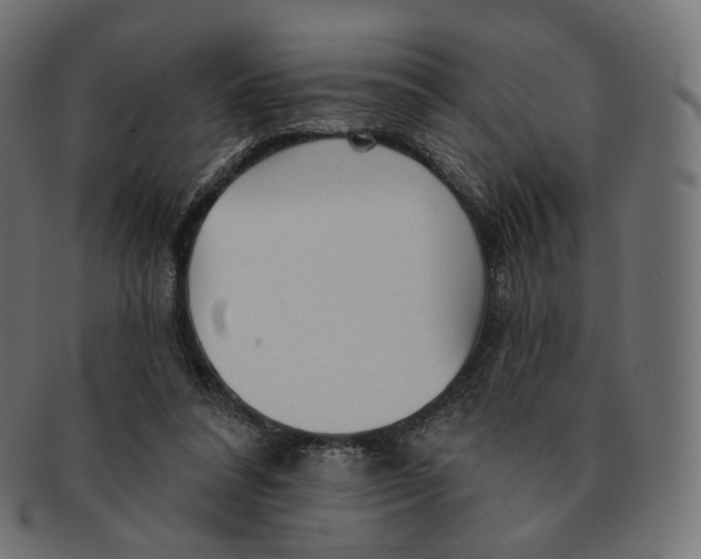 X0000091720304200709211006