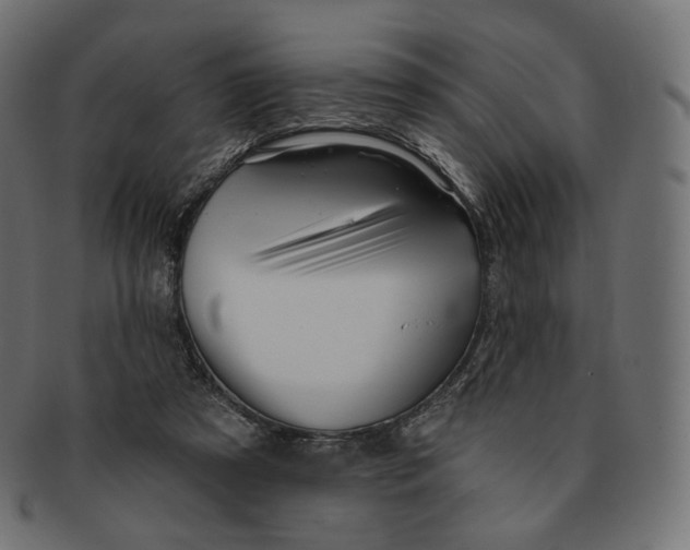 X0000091720305200709211006