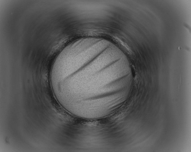 X0000091720306200709211006