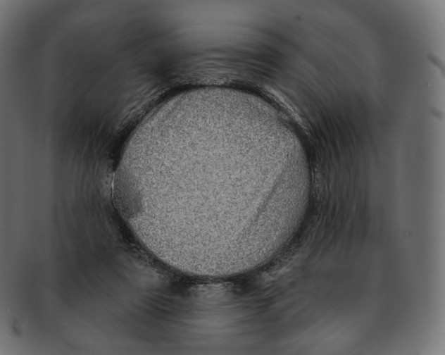 X0000091720307200709211006