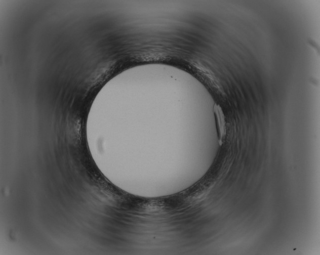 X0000091720308200709211006