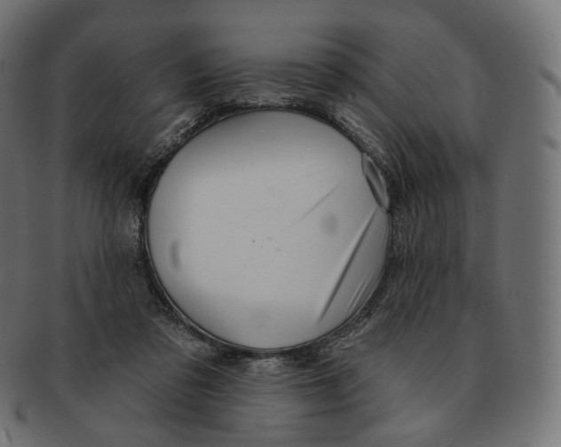 X0000091720309200709211006