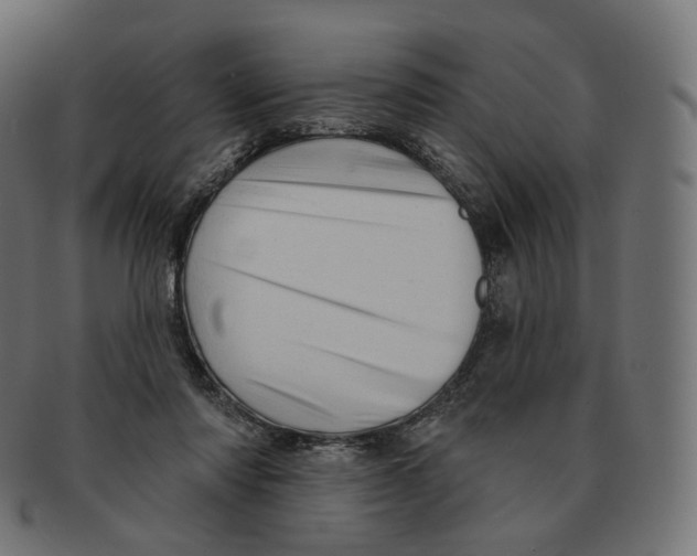 X0000091720310200709211006