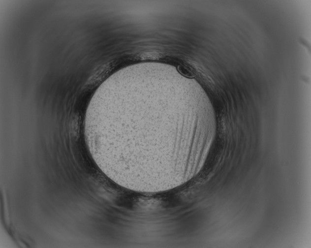 X0000091720311200709211006