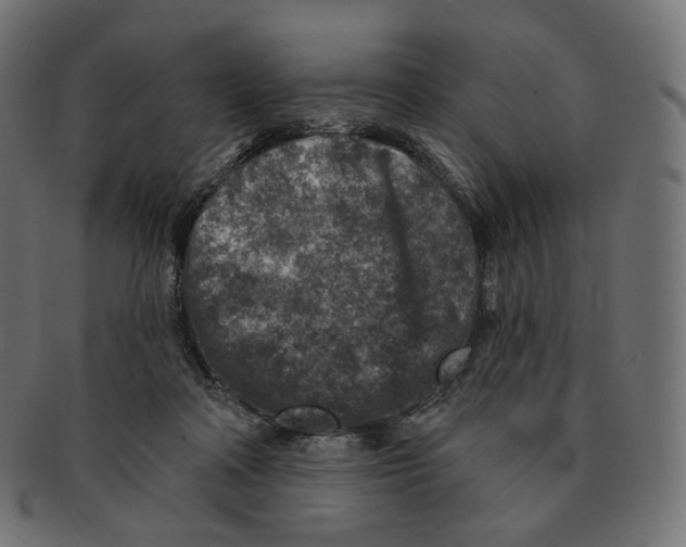 X0000091720314200709211006