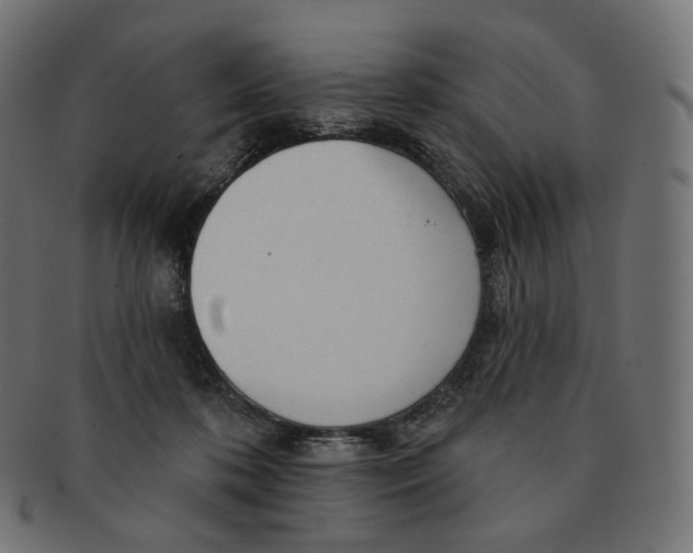 X0000091720316200709211006