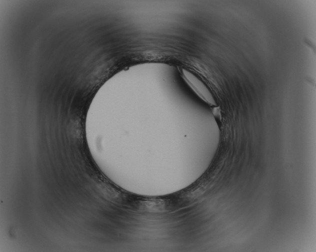 X0000091720317200709211006