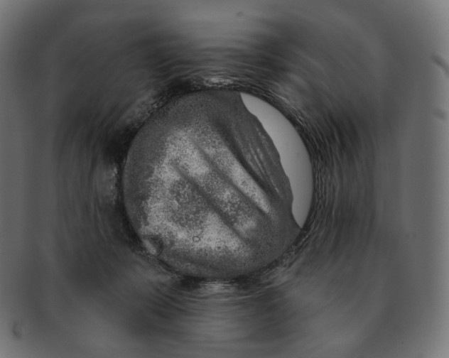 X0000091720319200709211006