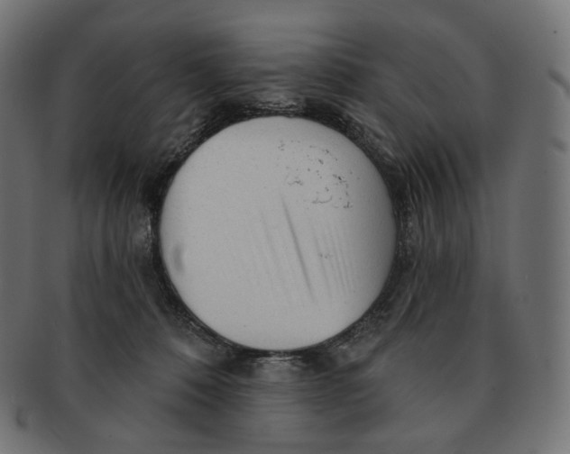 X0000091720320200709211006