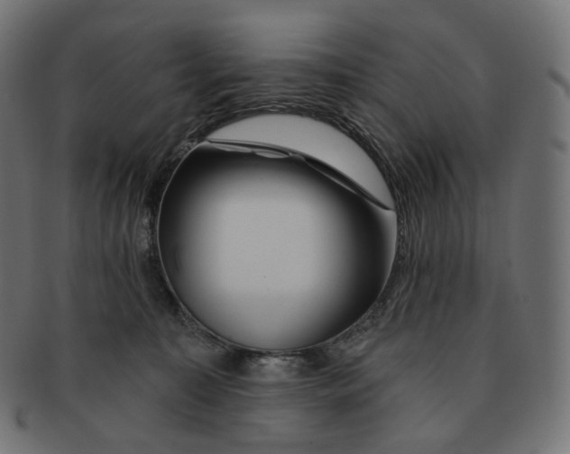 X0000091720323200709211006