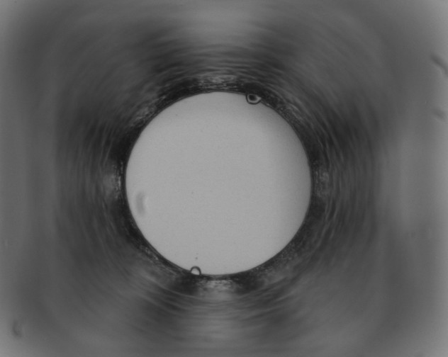 X0000091720324200709211006