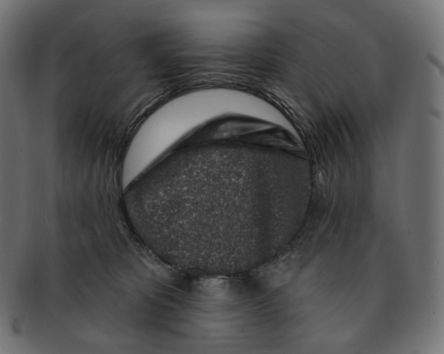 X0000091720325200709211006