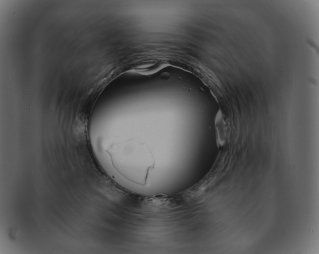 X0000091720329200709211006