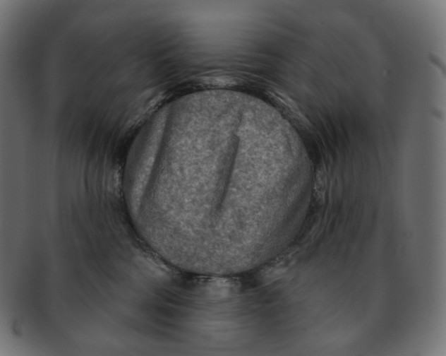 X0000091720330200709211006