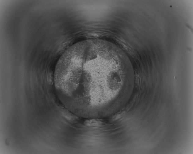 X0000091720331200709211006