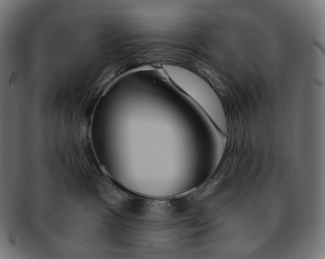 X0000091720333200709211006